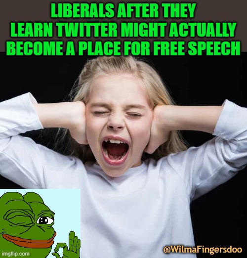 Cover ears, not listening | LIBERALS AFTER THEY LEARN TWITTER MIGHT ACTUALLY BECOME A PLACE FOR FREE SPEECH; @WilmaFingersdoo | image tagged in cover ears not listening,twitter,elon musk | made w/ Imgflip meme maker