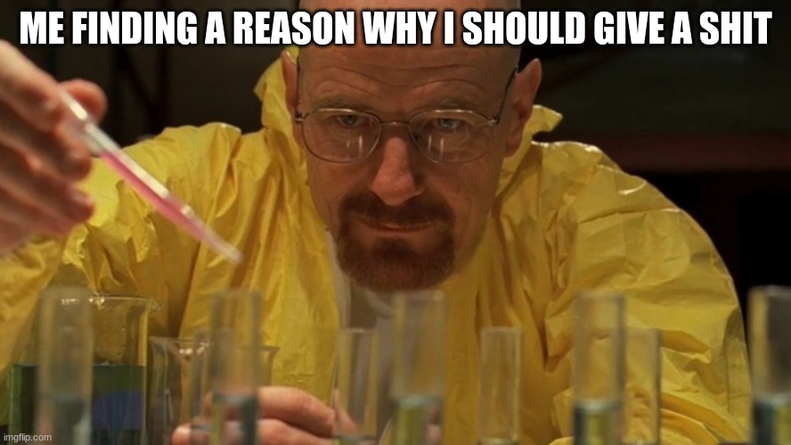 Mr White Lab | ME FINDING A REASON WHY I SHOULD GIVE A SHIT | image tagged in mr white lab | made w/ Imgflip meme maker