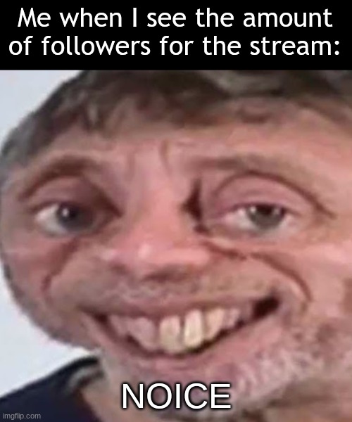 At the time of me making this, the follower count is at 69 | Me when I see the amount of followers for the stream:; NOICE | image tagged in noice,69 | made w/ Imgflip meme maker