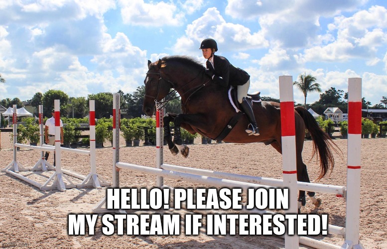 CALLING ALL IMGFLIP EQUESTRIANS! LINK IS IN COMMENTS! :) | HELLO! PLEASE JOIN MY STREAM IF INTERESTED! | image tagged in horse,streams,bitch please | made w/ Imgflip meme maker