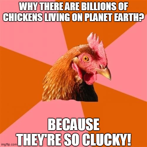 Chickens are so CLUCKY! | WHY THERE ARE BILLIONS OF CHICKENS LIVING ON PLANET EARTH? BECAUSE THEY'RE SO CLUCKY! | image tagged in memes,anti joke chicken,funny,funny memes,repost,reposts | made w/ Imgflip meme maker