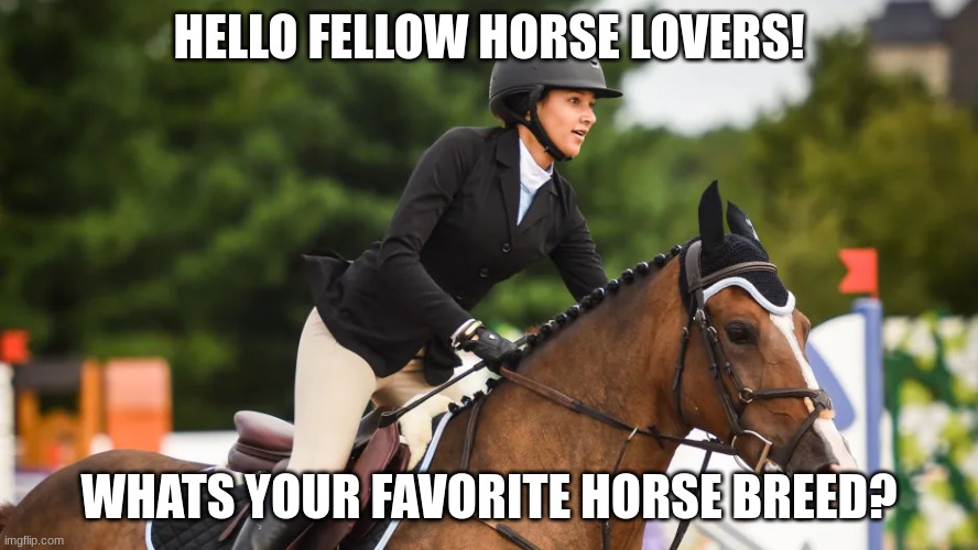 Hi! | HELLO FELLOW HORSE LOVERS! WHAT'S YOUR FAVORITE HORSE BREED? | image tagged in horse,animals | made w/ Imgflip meme maker