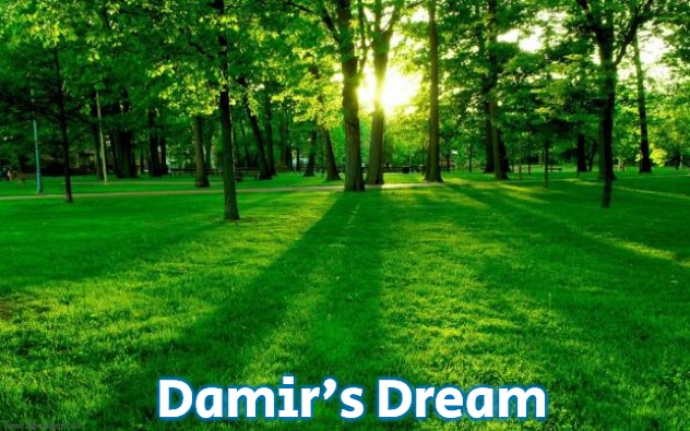 Grass and trees | Damir's Dream | image tagged in grass and trees,damir's dream | made w/ Imgflip meme maker