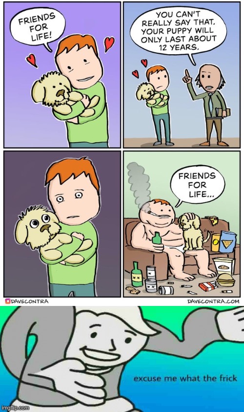 Well they both will last 12 years now | image tagged in comics,funny,memes,excuse me what the frick,12 years,friends for life | made w/ Imgflip meme maker