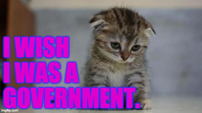Sad kitten | I WISH 
I WAS A
GOVERNMENT. | image tagged in sad kitten | made w/ Imgflip meme maker