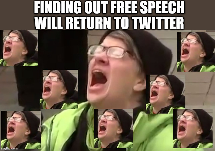 Twitter | FINDING OUT FREE SPEECH WILL RETURN TO TWITTER | image tagged in screaming liberal | made w/ Imgflip meme maker