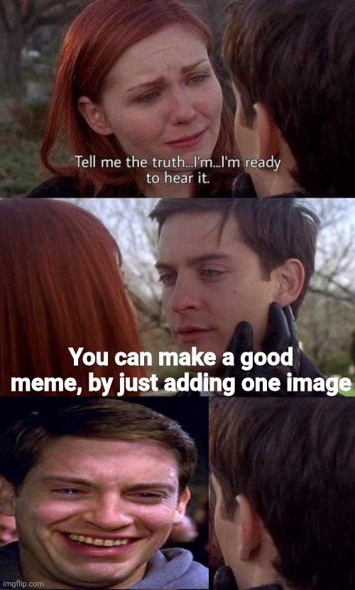 Tell me the truth, I'm ready to hear it |  You can make a good meme, by just adding one image | image tagged in tell me the truth i'm ready to hear it,memes,gifs,not really a gif | made w/ Imgflip meme maker