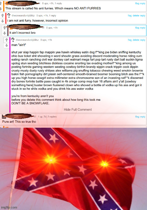 yee haw gi jane 2 | image tagged in confederate flag,owie | made w/ Imgflip meme maker