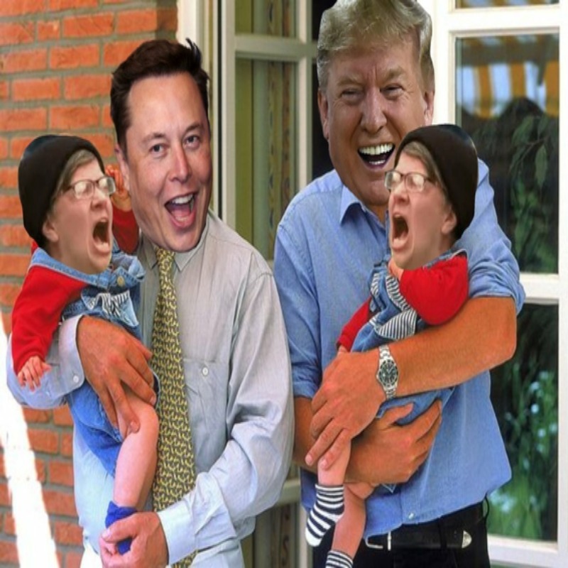 The Triggering | image tagged in elon musk,elondonaldo,triggered liberal,triggered feminist,triggered,the triggering | made w/ Imgflip meme maker