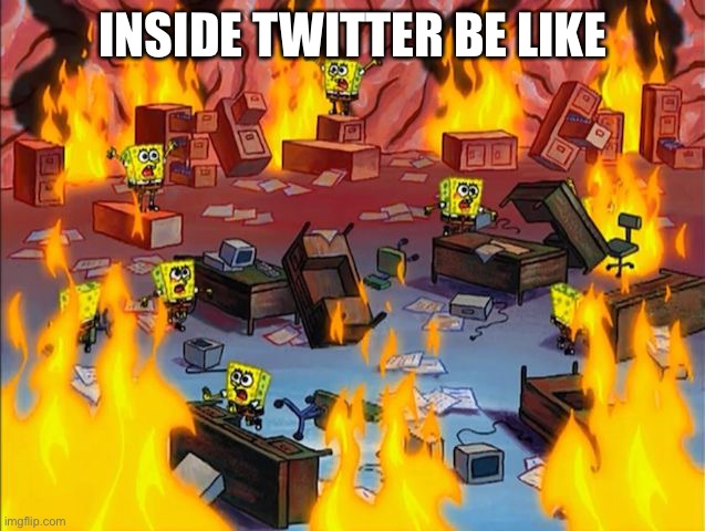 Not sure if this is a repost, tell me if repost | INSIDE TWITTER BE LIKE | image tagged in memes,spongbob,funny,twitter,chaos,true story | made w/ Imgflip meme maker