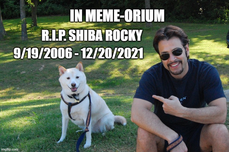 IN MEMEORIUM | IN MEME-ORIUM; R.I.P. SHIBA ROCKY; 9/19/2006 - 12/20/2021 | image tagged in shiba inu,doge,dogecoin,pets,memes | made w/ Imgflip meme maker