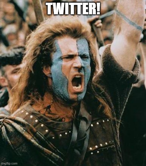 Elon Wallace | TWITTER! | image tagged in william wallace | made w/ Imgflip meme maker
