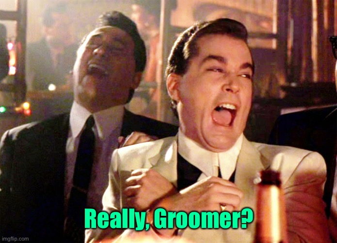 Good Fellas Hilarious Meme | Really, Groomer? | image tagged in memes,good fellas hilarious | made w/ Imgflip meme maker