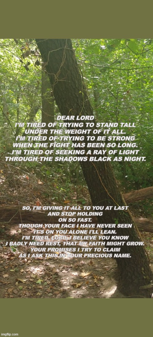 Leaning Tree Prayer |  DEAR LORD
I'M TIRED OF TRYING TO STAND TALL
UNDER THE WEIGHT OF IT ALL.
I'M TIRED OF TRYING TO BE STRONG
WHEN THE FIGHT HAS BEEN SO LONG.
I'M TIRED OF SEEKING A RAY OF LIGHT
THROUGH THE SHADOWS BLACK AS NIGHT. SO, I'M GIVING IT ALL TO YOU AT LAST
AND STOP HOLDING ON SO FAST.
THOUGH YOUR FACE I HAVE NEVER SEEN
IT'S ON YOU ALONE I'LL LEAN.
I'M TIRED, LORD, I BELIEVE YOU KNOW
I BADLY NEED REST, THAT MY FAITH MIGHT GROW.
YOUR PROMISES I TRY TO CLAIM
AS I ASK THIS IN YOUR PRECIOUS NAME. | image tagged in nature,thoughts and prayers,prayer,tired,leaning | made w/ Imgflip meme maker