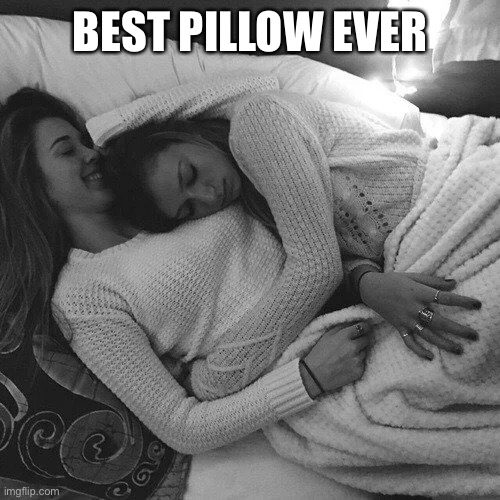 Awwwww | BEST PILLOW EVER | image tagged in lesbian,lesbians,aww,boobs,pillow | made w/ Imgflip meme maker