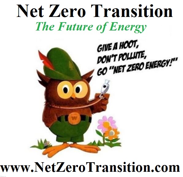 Net Zero Transition - The Future of Energy Blank Meme Template