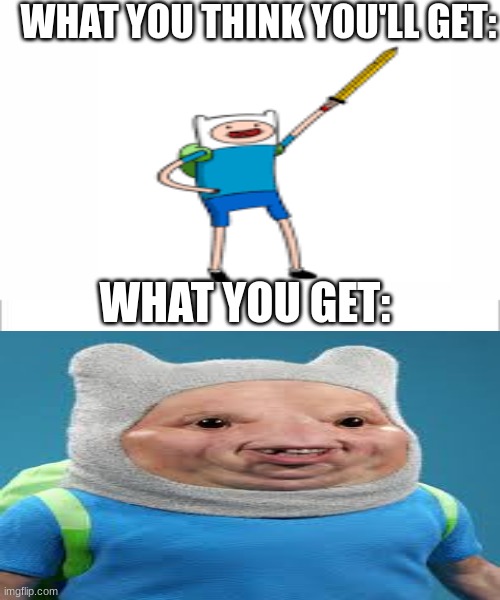 white background | WHAT YOU THINK YOU'LL GET:; WHAT YOU GET: | image tagged in white background,finn the human | made w/ Imgflip meme maker