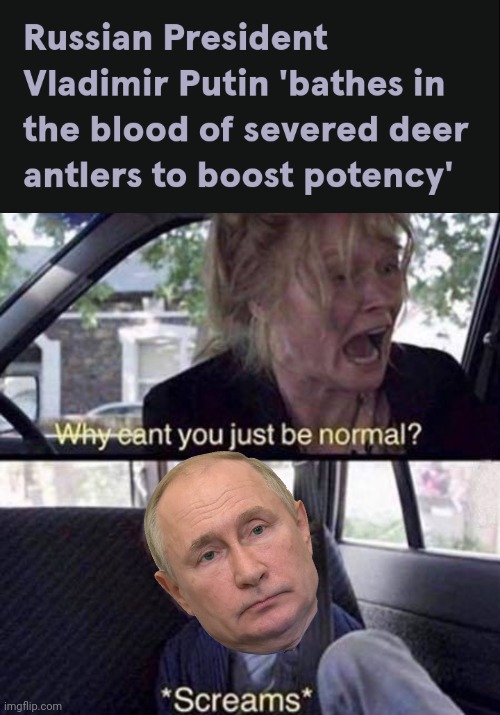 image tagged in why can't you just be normal,vladimir putin,sicko mode | made w/ Imgflip meme maker