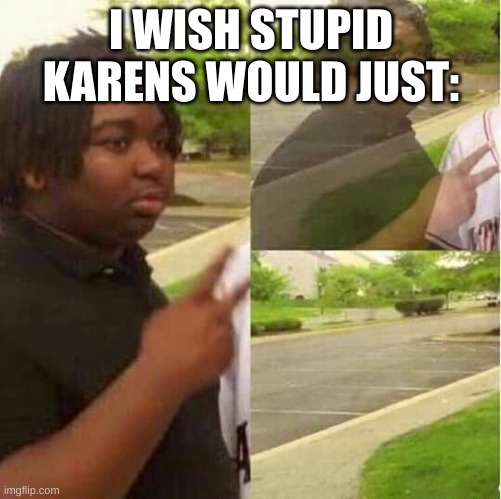 disappearing  | I WISH STUPID KARENS WOULD JUST: | image tagged in disappearing | made w/ Imgflip meme maker