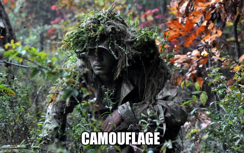 camouflage | CAMOUFLAGE | image tagged in camouflage | made w/ Imgflip meme maker