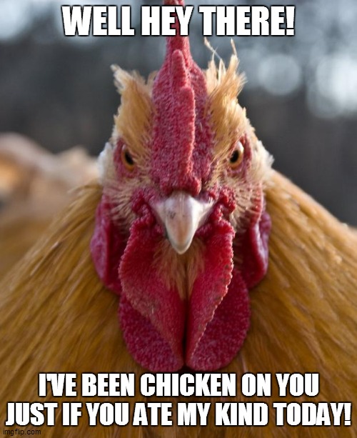 I'm chicken on you |  WELL HEY THERE! I'VE BEEN CHICKEN ON YOU JUST IF YOU ATE MY KIND TODAY! | image tagged in angry chicken,memes,funny,funny memes,chicken,repost | made w/ Imgflip meme maker