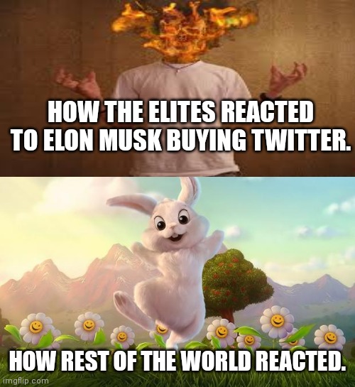 Easter-Bunny Defense | HOW THE ELITES REACTED TO ELON MUSK BUYING TWITTER. HOW REST OF THE WORLD REACTED. | image tagged in easter-bunny defense | made w/ Imgflip meme maker