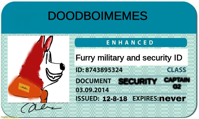 My official licence!!! | DOODBOIMEMES; Furry military and security ID; CAPTAIN G2; SECURITY | image tagged in furry,security,military,me | made w/ Imgflip meme maker