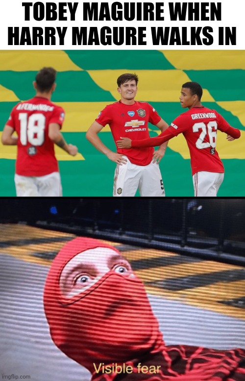 Harry maguire the greatest maguire off all time |  TOBEY MAGUIRE WHEN HARRY MAGURE WALKS IN | image tagged in goat | made w/ Imgflip meme maker