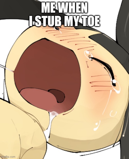 ME WHEN I STUB MY TOE | made w/ Imgflip meme maker