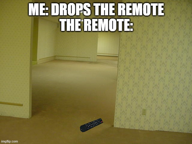 True Fact | ME: DROPS THE REMOTE
THE REMOTE: | image tagged in the backrooms | made w/ Imgflip meme maker
