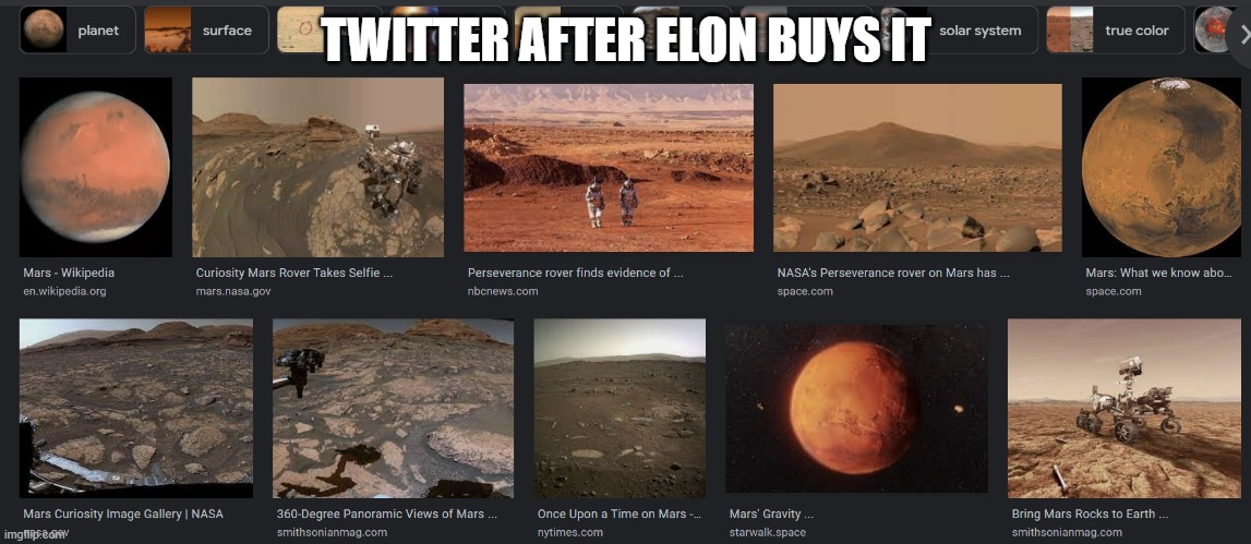  TWITTER AFTER ELON BUYS IT | image tagged in elon musk,mars,twitter | made w/ Imgflip meme maker