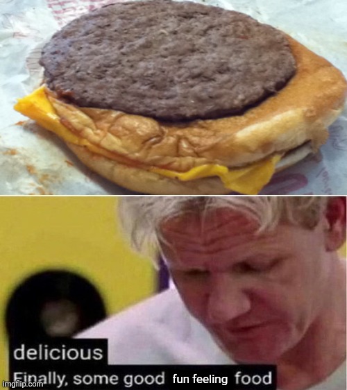 Burger like that | fun feeling | image tagged in gordon ramsay some good food,burger,funny,memes,you had one job,you had one job just the one | made w/ Imgflip meme maker