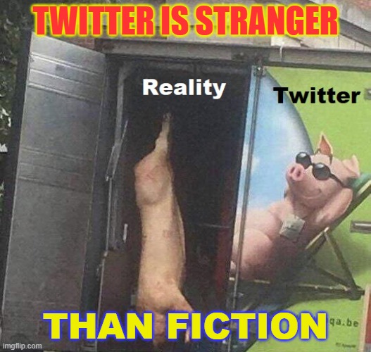 Twitter is Stranger Than Fiction | TWITTER IS STRANGER; THAN FICTION | image tagged in twitter | made w/ Imgflip meme maker