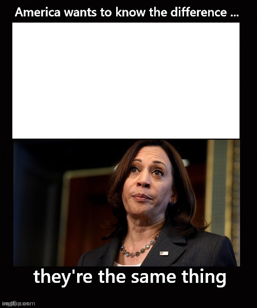 they're the same  kamala harris | image tagged in they're the same kamala harris | made w/ Imgflip meme maker
