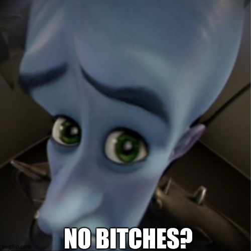 Megamind peeking | NO BITCHES? | image tagged in megamind peeking | made w/ Imgflip meme maker