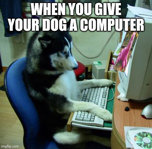 I Have No Idea What I Am Doing |  WHEN YOU GIVE YOUR DOG A COMPUTER | image tagged in memes,i have no idea what i am doing | made w/ Imgflip meme maker