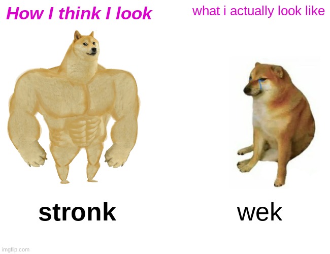 Buff Doge vs. Cheems | How I think I look; what i actually look like; stronk; wek | image tagged in memes,buff doge vs cheems | made w/ Imgflip meme maker