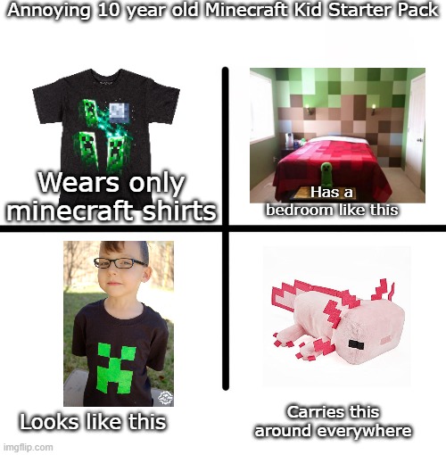 Blank Starter Pack |  Annoying 10 year old Minecraft Kid Starter Pack; Has a bedroom like this; Wears only minecraft shirts; Looks like this; Carries this around everywhere | image tagged in memes,blank starter pack | made w/ Imgflip meme maker