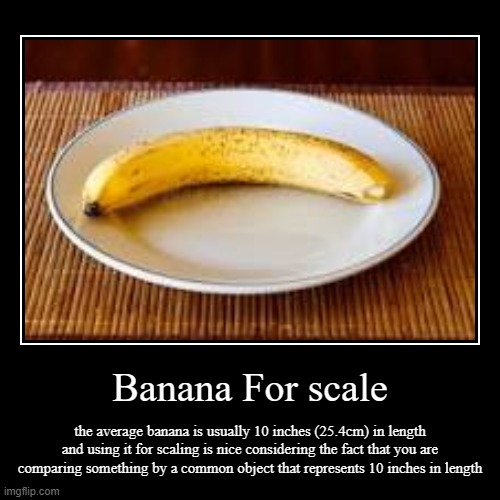 Banana for scale info... | image tagged in demotivationals | made w/ Imgflip demotivational maker