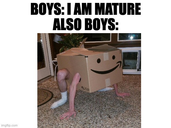 box boy remember this guy |  BOYS: I AM MATURE
ALSO BOYS: | image tagged in box,memes,me and the boys | made w/ Imgflip meme maker