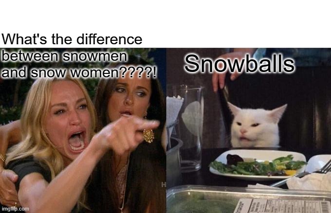 Woman Yelling At Cat | What's the difference between snowmen and snow women????! Snowballs | image tagged in memes,woman yelling at cat | made w/ Imgflip meme maker