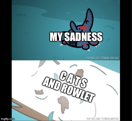 :3 | MY SADNESS; C A T S
AND ROWLET | image tagged in heracross is dead | made w/ Imgflip meme maker