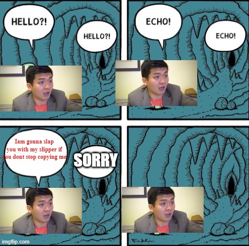 echo | Iam gonna slap you with my slipper if you dont stop copying me; SORRY | image tagged in echo,emotional damage,asian | made w/ Imgflip meme maker