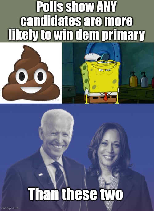 Polls show ANY candidates are more likely to win dem primary; Than these two | image tagged in poop,memes,don't you squidward,biden harris 2020 | made w/ Imgflip meme maker