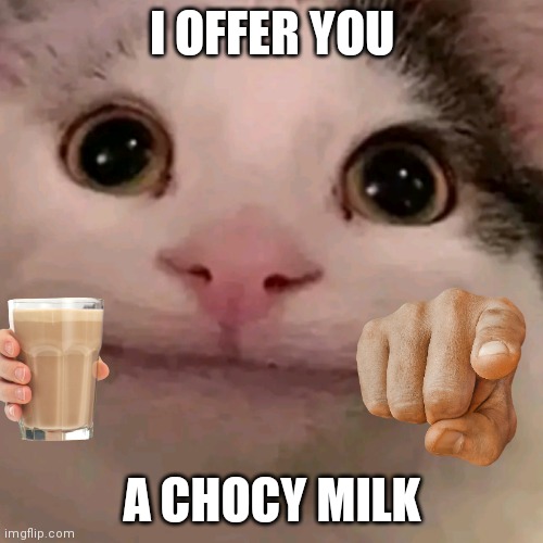 beluga offers you a chocy milk! | I OFFER YOU; A CHOCY MILK | image tagged in beluga | made w/ Imgflip meme maker