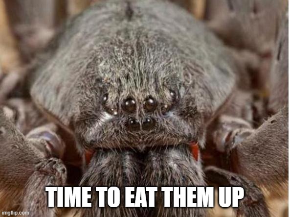 Bad spider | TIME TO EAT THEM UP | image tagged in bad spider | made w/ Imgflip meme maker