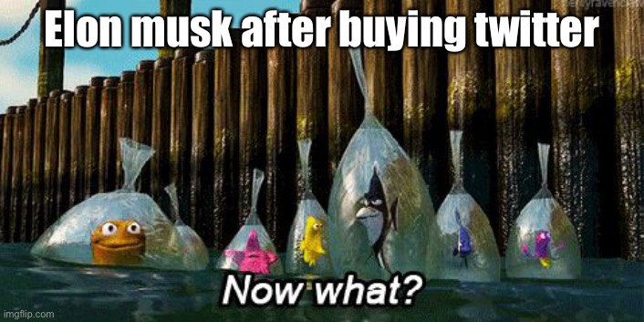 gon be still the same | Elon musk after buying twitter | image tagged in now what | made w/ Imgflip meme maker