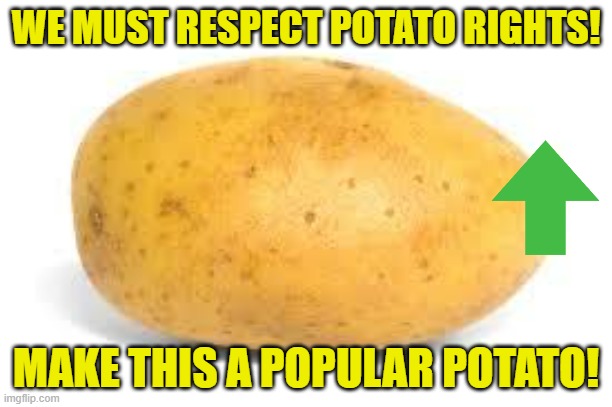 Potato |  WE MUST RESPECT POTATO RIGHTS! MAKE THIS A POPULAR POTATO! | image tagged in potato | made w/ Imgflip meme maker