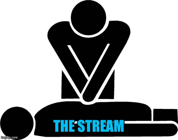 CPR | THE STREAM | image tagged in cpr | made w/ Imgflip meme maker