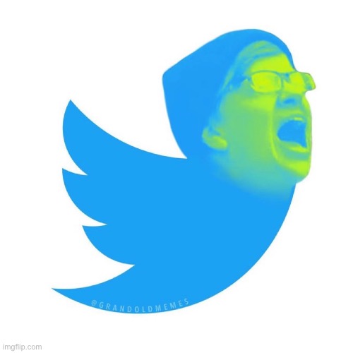 Twitter meltdown | image tagged in elon musk,twitter,triggered liberal | made w/ Imgflip meme maker